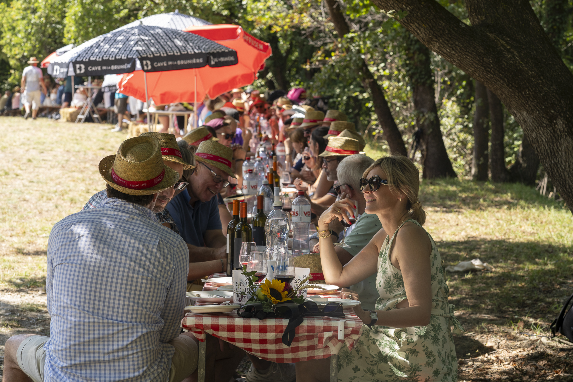 Sélection des Vins du Valais