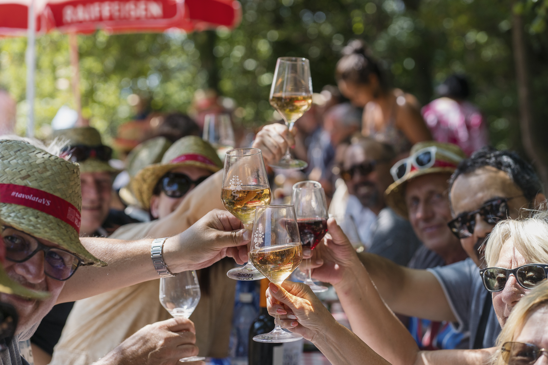 Sélection des Vins du Valais